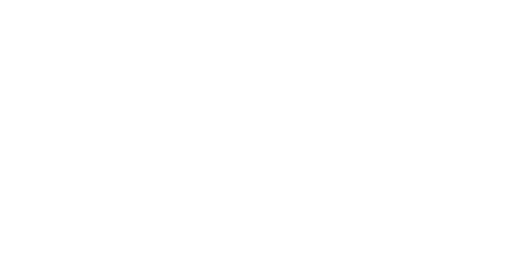 Nara Agencia